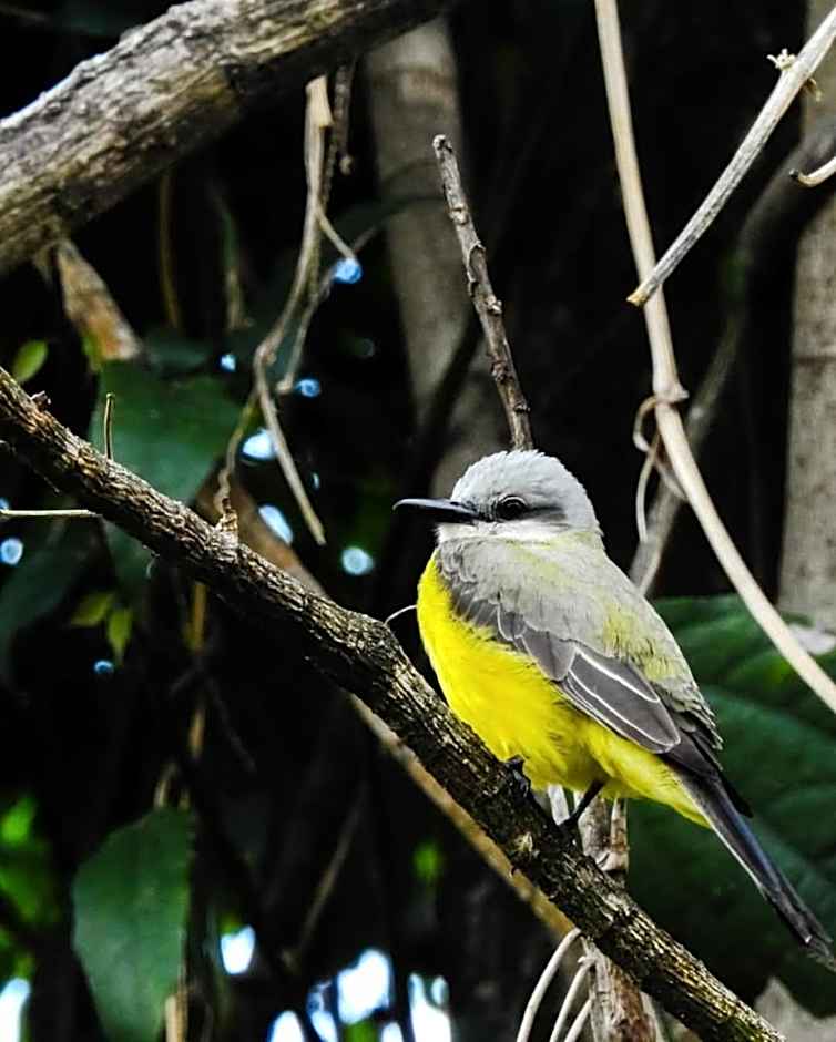 Pousada Cachoeira Esmeralda