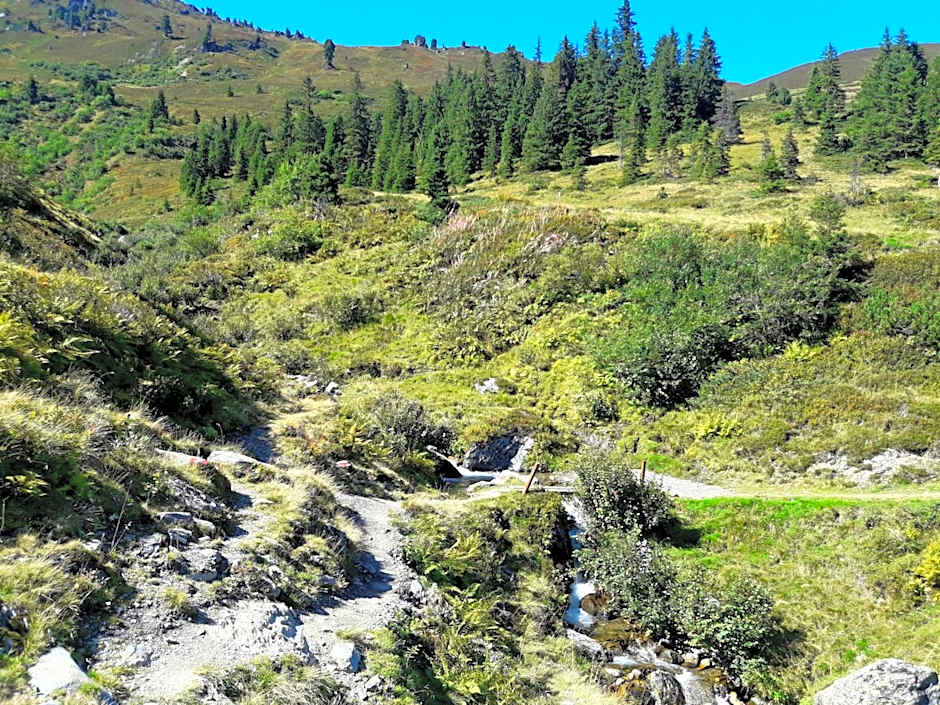 Berghotel Hochfügen