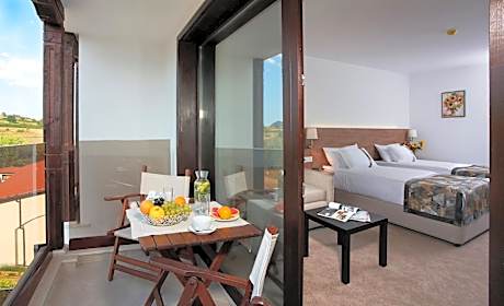 Superior Double or Twin Room in Thracian Residence Starosel