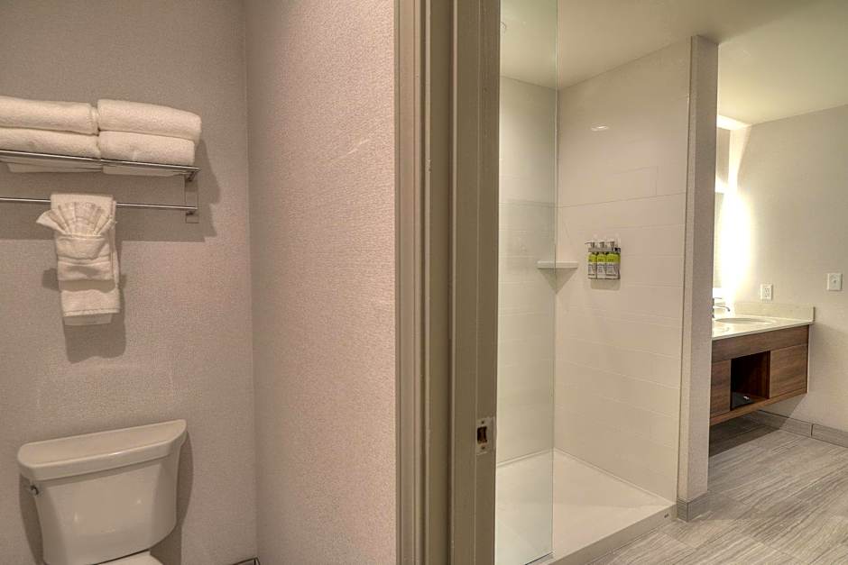 Holiday Inn & Suites Pigeon Forge Convention Center By IHG