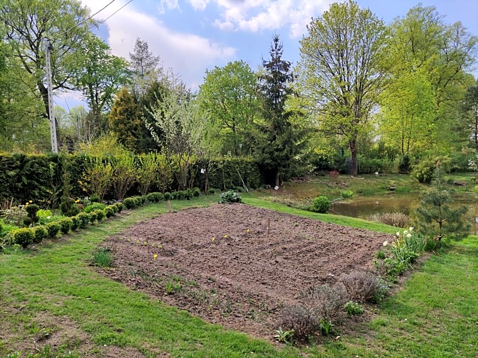 Bed & Breakfast - Warniłęg