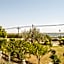 Hotel Alexandros