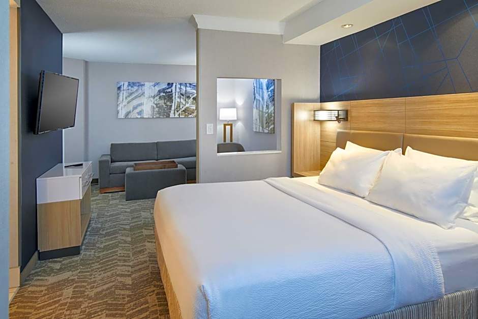 SpringHill Suites by Marriott Detroit Southfield