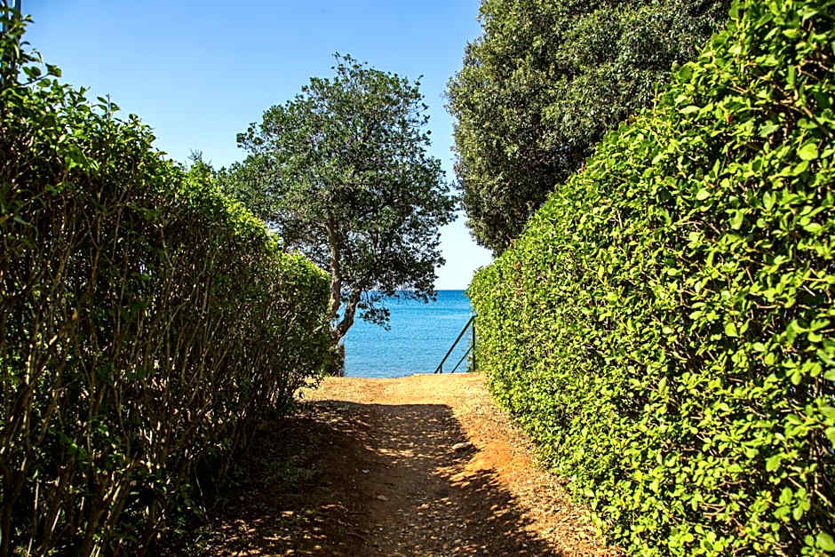 Arena Indije Mobile Homes