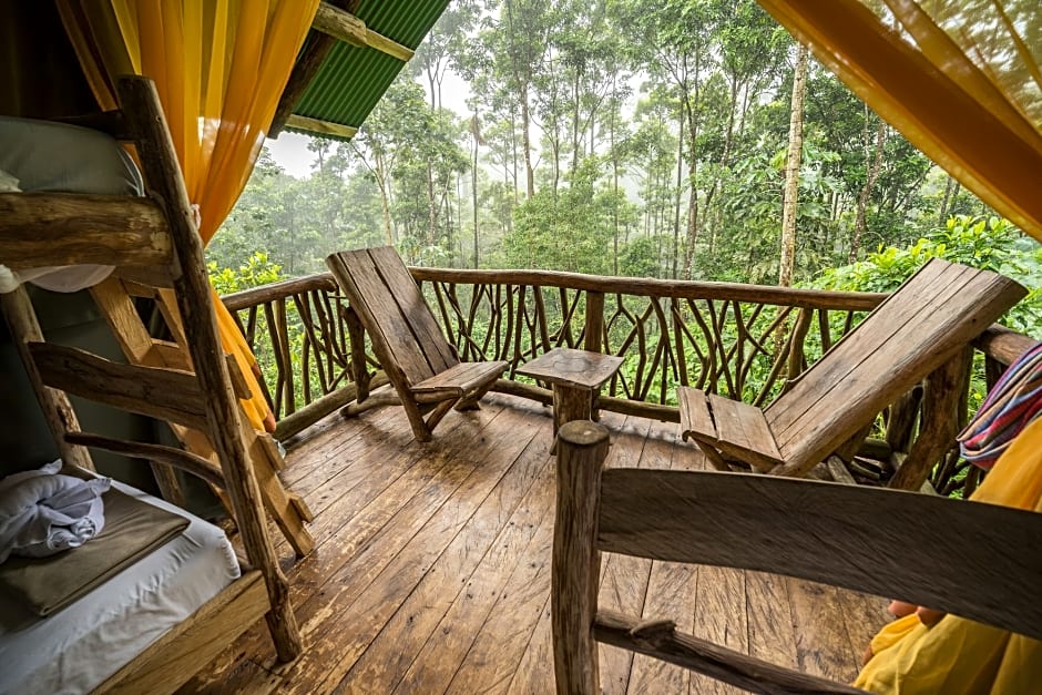 La Tigra Rainforest Lodge