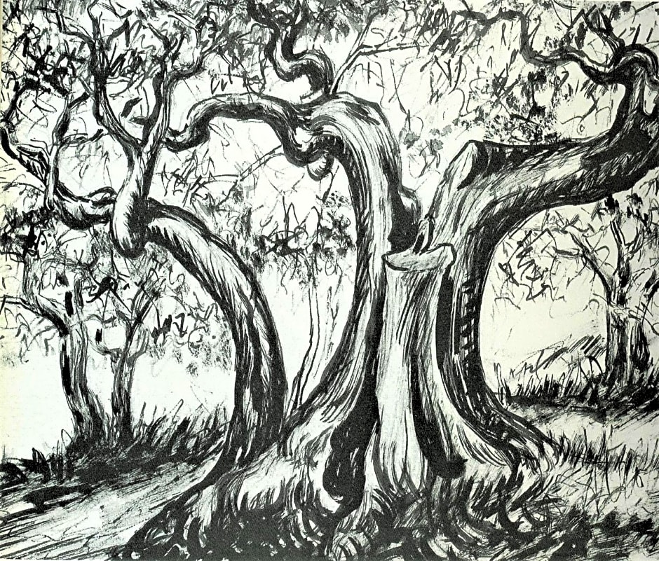 B&B Baronia Luxury Rooms