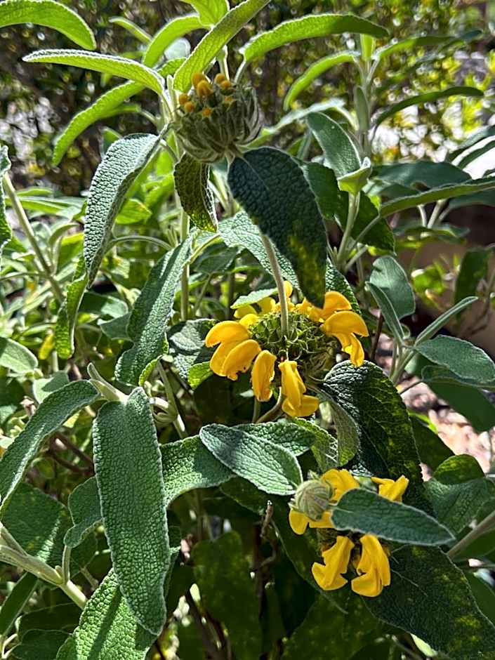 Hôtel les jardins de Sta Giulia avec piscine