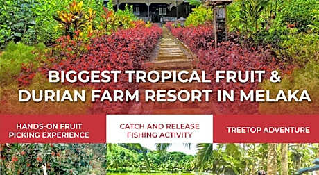 The Orchard Wellness & Health Resort