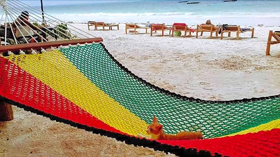 Sipano Beach Lodge Zanzibar