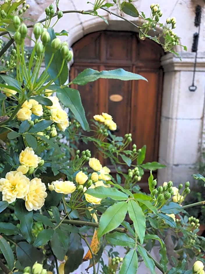 Muller's Bed & Breakfast