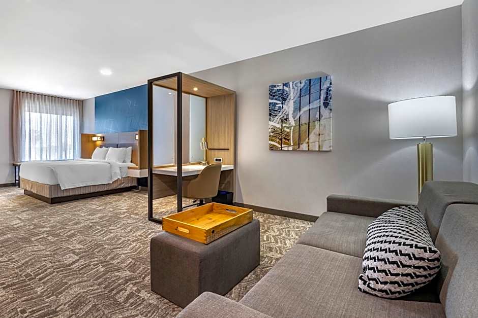 SpringHill Suites by Marriott Anaheim Placentia/Fullerton