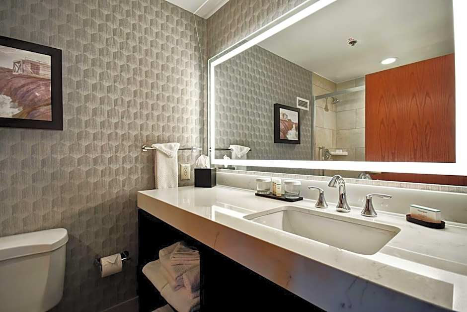 Embassy Suites By Hilton Hotel Little Rock