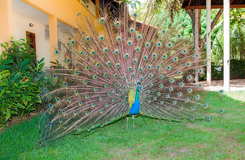 Pousada Paraíso dos Coqueirais