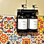 Sydney Hostel