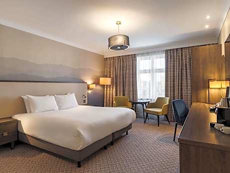 Executive Double / Twin Room