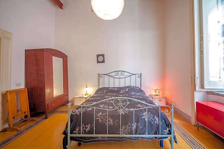B&B Stella 10