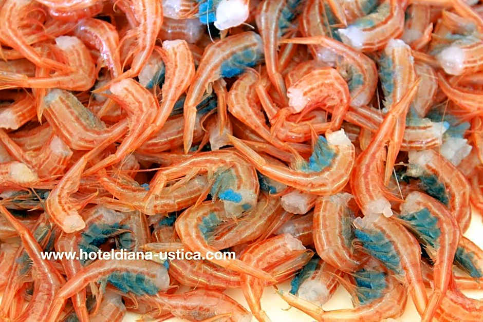 Hotel Restaurant Diana