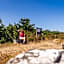 Haga Park Camping & Stugor