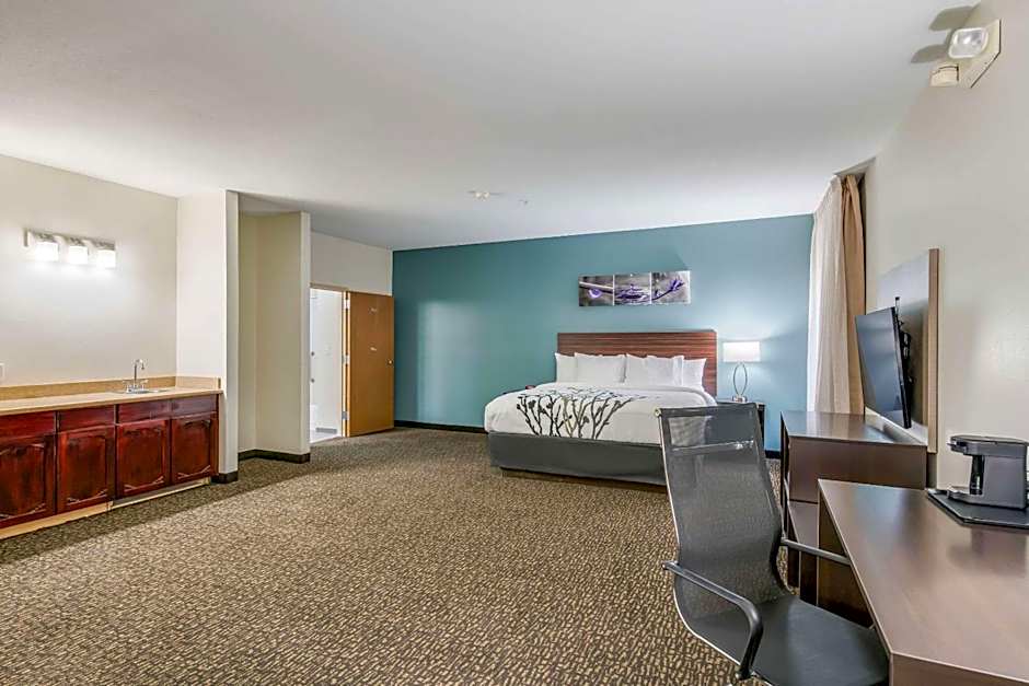 1 King Bed with Sofabed Suite — 4 fotoğraftan 1. fotoğraf