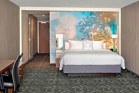 King Room with Sofa Bed - Hearing Accessible