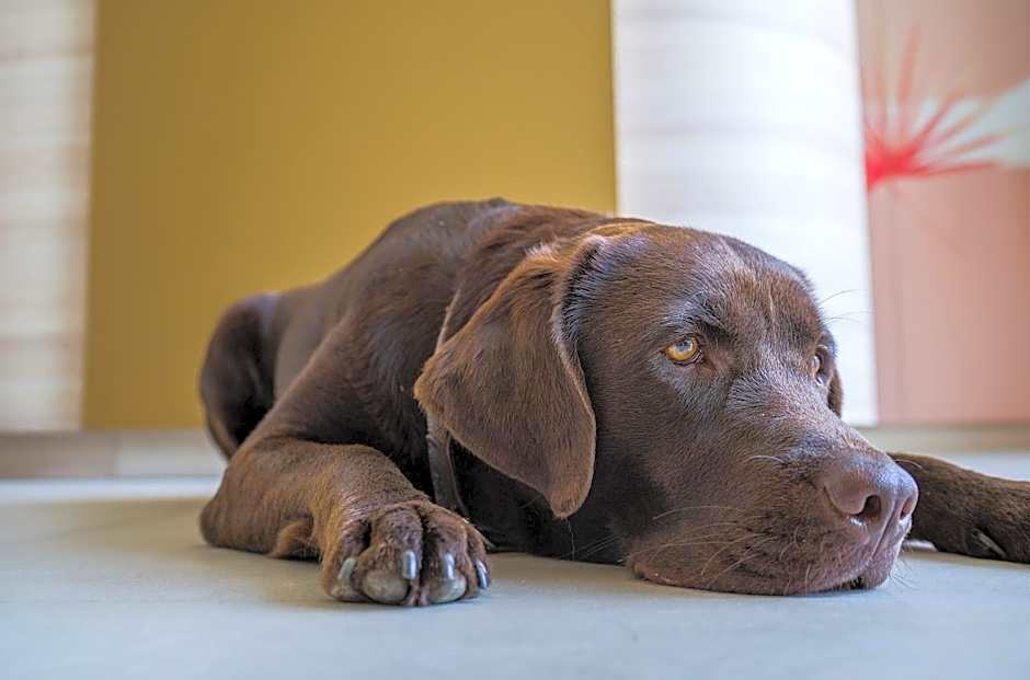 Hi5-Hotel Seiersberg