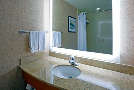 1 King 1 Bunk 1 Bedroom Kidsuites