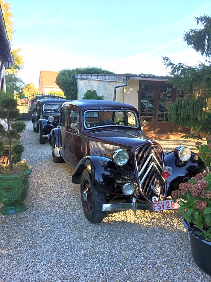 Les rêves d'Angèle