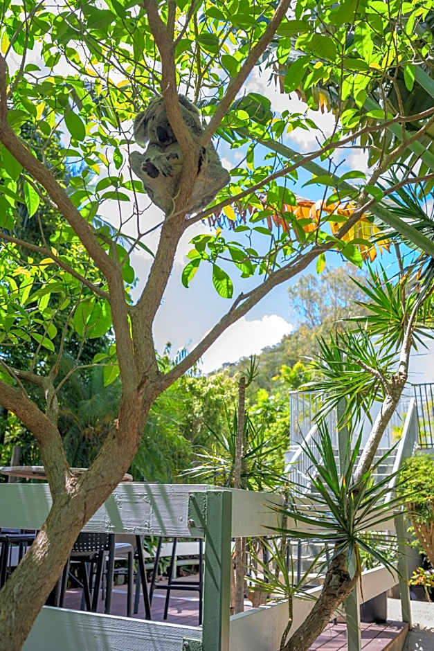 Amaroo Rainforest Resort