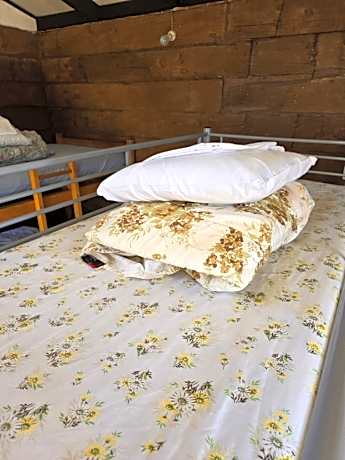 Bunk Bed in Mixed Dormitory Room