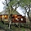 Hamiltons Tented Camp