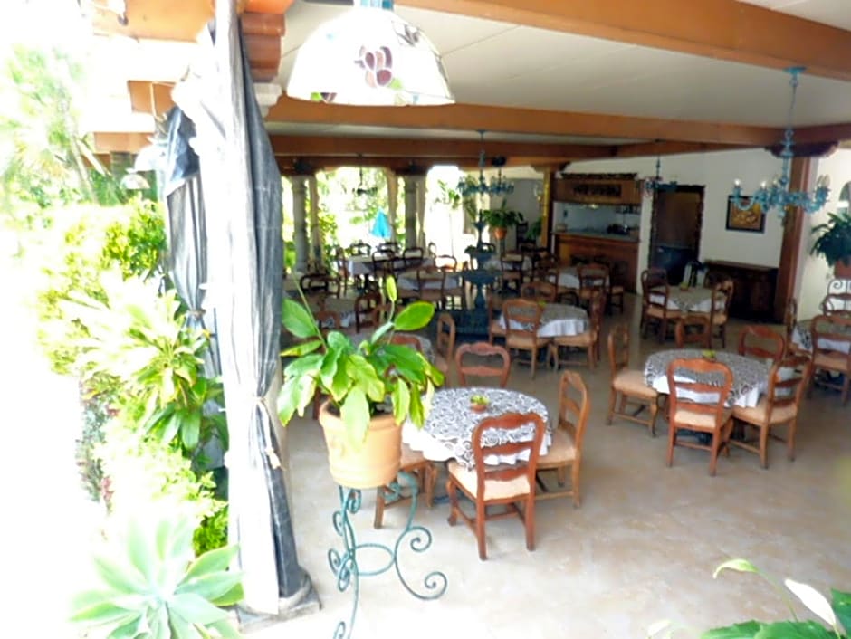 Hotel Bajo el Volcan
