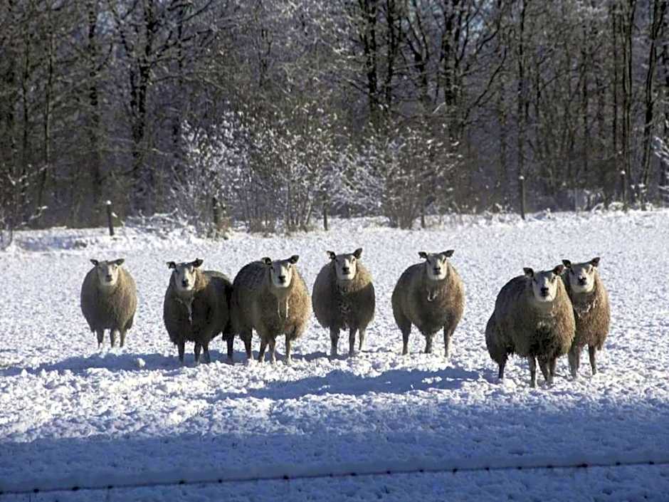 Castle Stay in De Eese with Royal Interiors