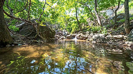 Gapyeong camp with pet & aegyeonglamping