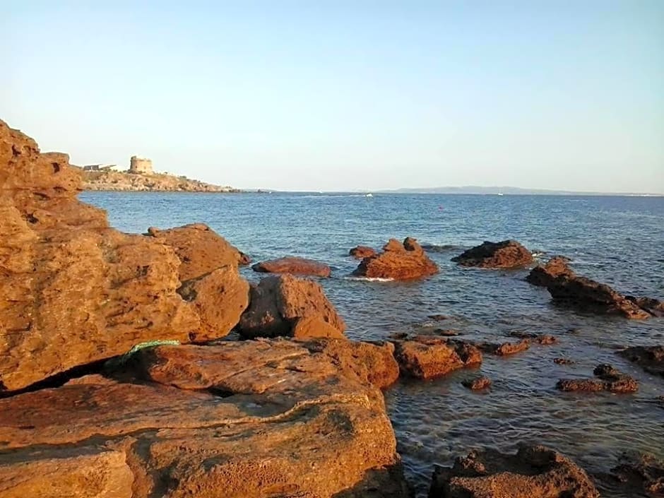 B&B Il Rifugio del Lupo - E6721