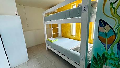 Single Bed in Mixed Dormitory Room