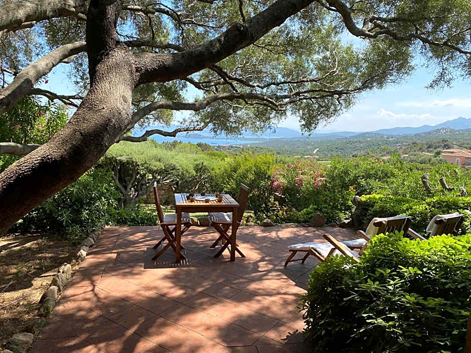 Domus Olivarum - Costa Smeralda 6 guest, 3 room, 2 bathroom, 2 parking Wifi