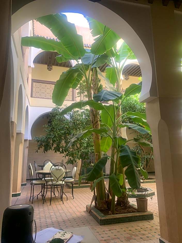 Riad Tidar by Phoenix
