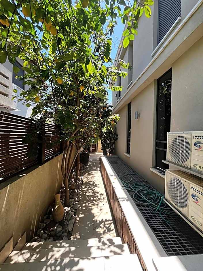 Super house- villa09