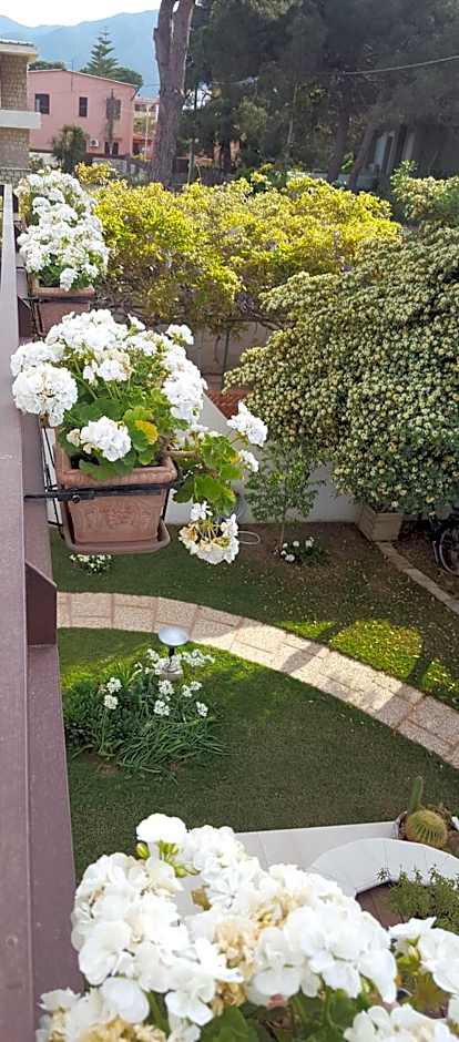 Sole D'oro IUN S4354