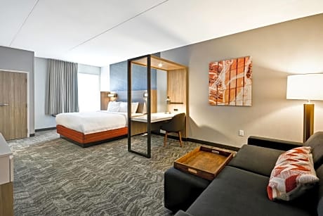 Suite, 1 King Bed with Sofa bed (1 King Bed and 1 Double Sofa Bed)