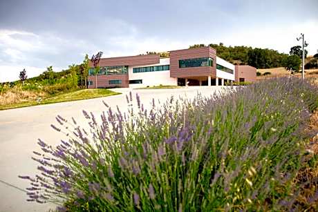 Hotel Bodegas Traslascuestas - GRUPO PIÉROLA