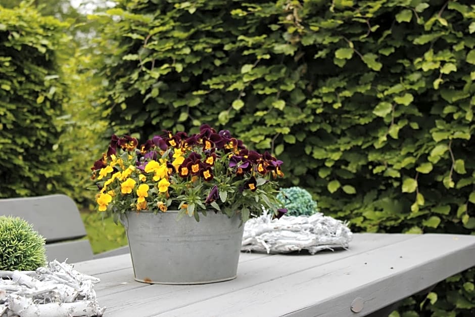 Housing De Brouwerij