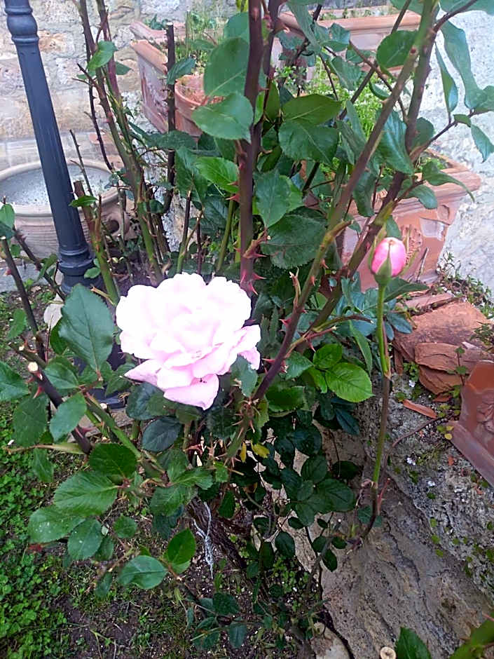 Palazzo Moraschi Subiaco