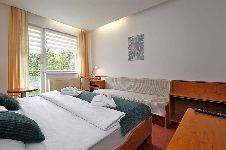 Interhotel Montana