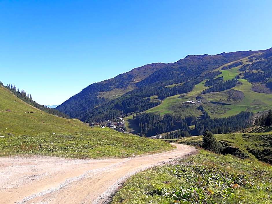 Berghotel Hochfügen