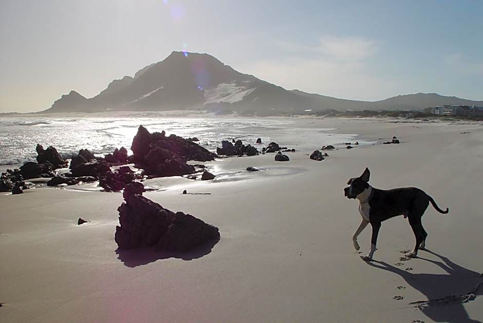 Jack's Seaview