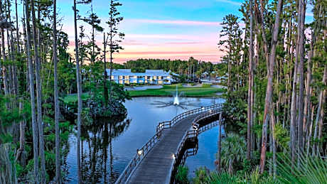 Saddlebrook Resort & Spa