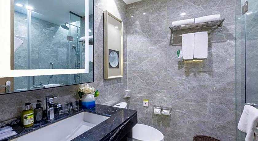 Somerset Yangtze River Chongqing