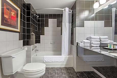 1 King Bed Suite Nonsmoking