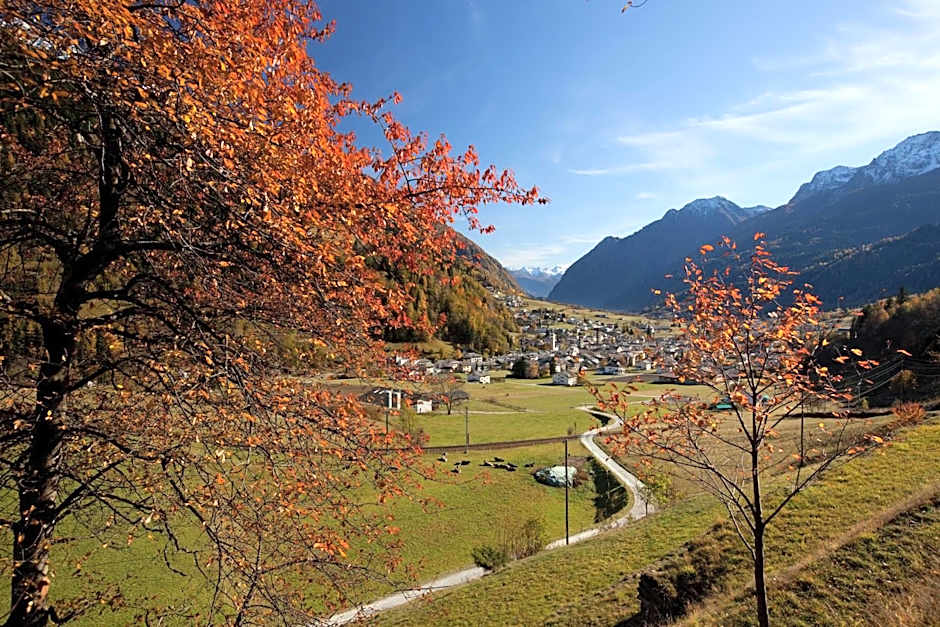 Hotel Centrale, Typically Swiss